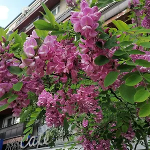 Pulawska 53 Apartament